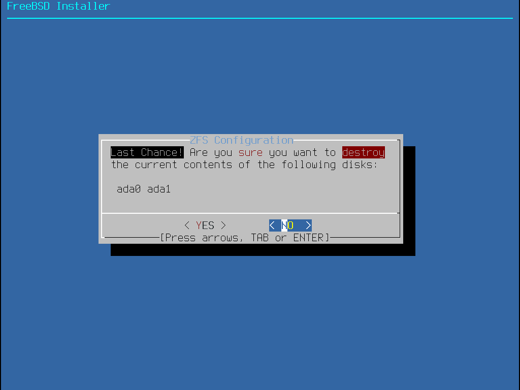 bsdinstall-zfs-warning.png