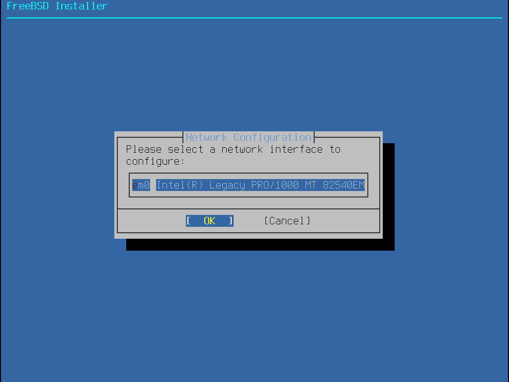 bsdinstall-configure-network-interface.png