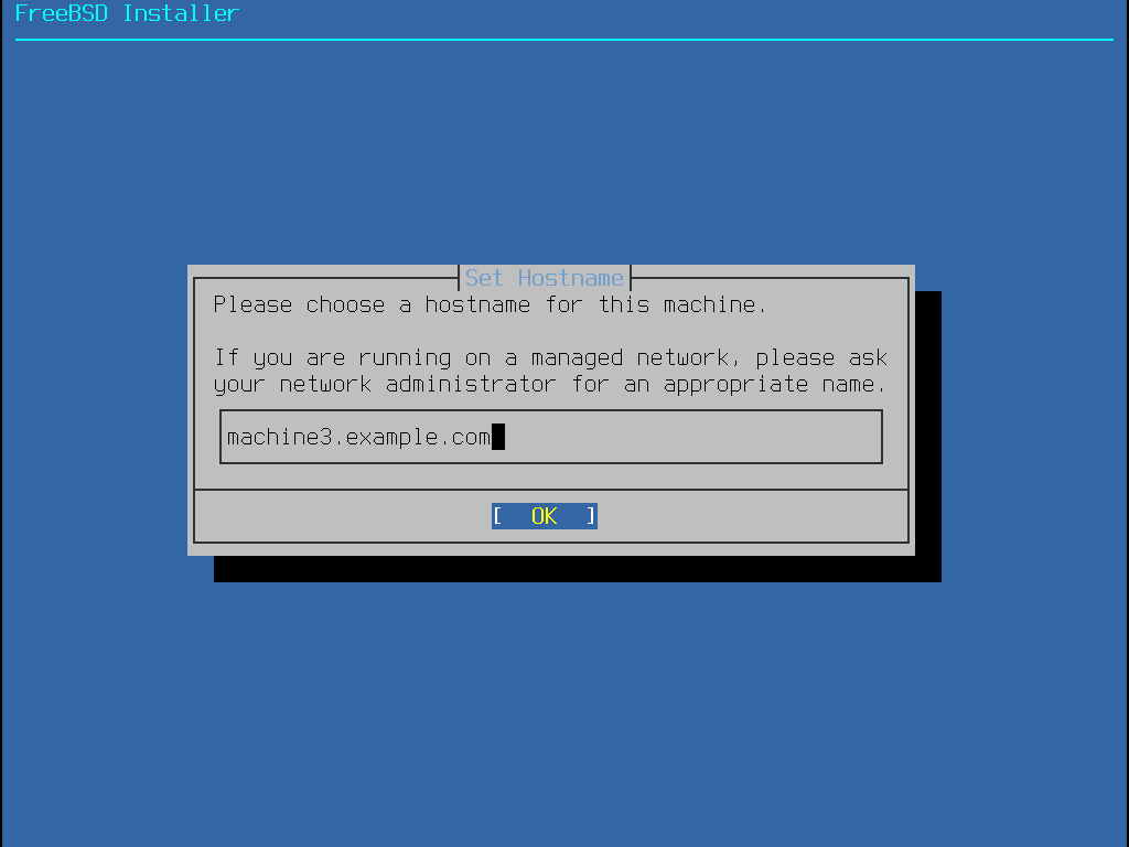 bsdinstall-config-hostname.png